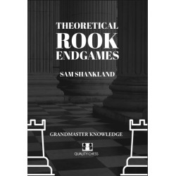 Theoretical Rook Endgames