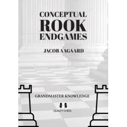 Conceptual Rook Endgames