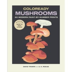 Coloready Mushrooms: 20 Modern Paint-by-Number Prints