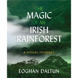 The Magic of an Irish Rainforest: A Visual Journey