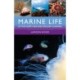 Marine Life of the North Sea and English Channel