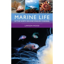 Marine Life of the North Sea and English Channel