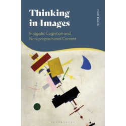 Thinking in Images: Imagistic Cognition and Non-propositional Content