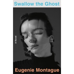Swallow the Ghost: A Novel