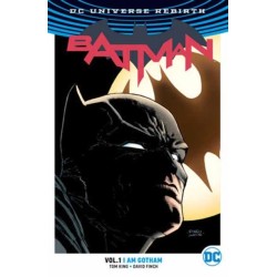 Batman Vol. 1: I Am Gotham