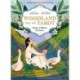 Woodland Fairytale Tarot: Magic, Folklore & Plants
