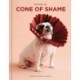 Cone of Shame