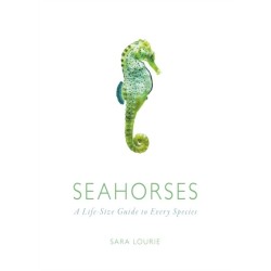 Seahorses: A Life-Size Guide to Every Species