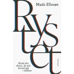 Rystet: Hvad der skete, da mit hoved gik i stykker