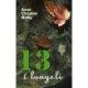 13 í longsli