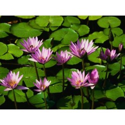 Færdig med fortiden