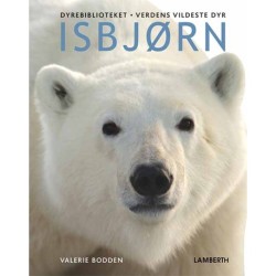 Isbjørn