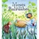 Moses in the Bulrushes