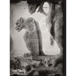 Tomas Van Houtryve: 36 Views of Notre Dame