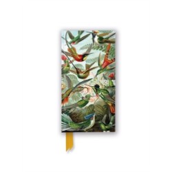 Ernst Haeckel: Hummingbirds (Foiled Slimline Journal)