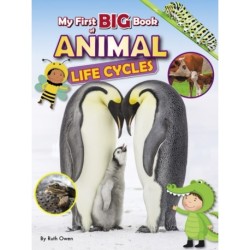 My First BIG Book of ANIMAL Life Cycles