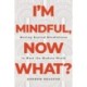 I'm Mindful, Now What?: Moving Beyond Mindfulness to Meet the Modern World