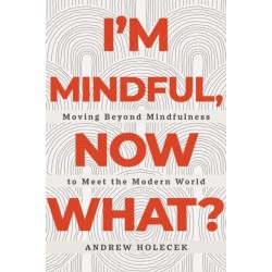 I'm Mindful, Now What?: Moving Beyond Mindfulness to Meet the Modern World