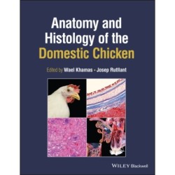 Anatomy and Histology of the Domestic Chicken