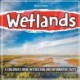 Wetlands: A Children's Book Interesting And Informative Facts