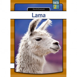 Lama