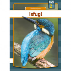 Isfugl