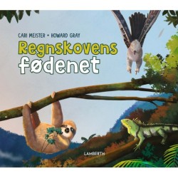 Regnskovens fødenet