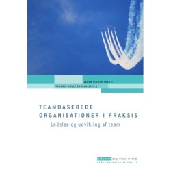 Teambaserede organisationer i praksis: Ledelse og udvikling af team