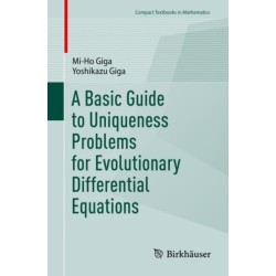 A Basic Guide to Uniqueness Problems for Evolutionary Differential Equations