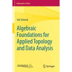 Algebraic Foundations for Applied Topology and Data Analysis