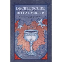 Disciple'S Guide to Ritual Magick: A Beginner's Introduction to the High Art