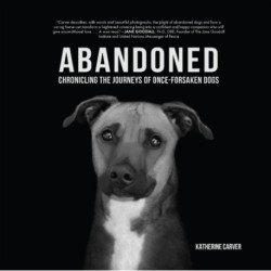 Abandoned: Chronicling the Journeys of Once-Forsaken Dogs