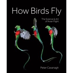 How Birds Fly: The Science and Art of Avian Flight