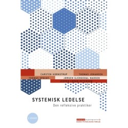 Systemisk ledelse, 2. udgave: Den refleksive praktiker