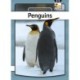 Penguins