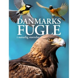 Danmarks fugle i naturlig størrelse
