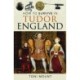 How to Survive in Tudor England