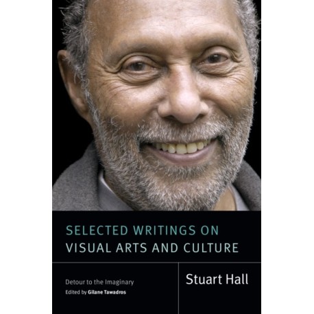 Selected Writings on Visual Arts and Culture: Detour to the Imaginary