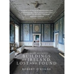 The Irish Aesthete: Buildings of Ireland, Lost and Found