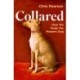 Collared: How We Made the Modern Dog