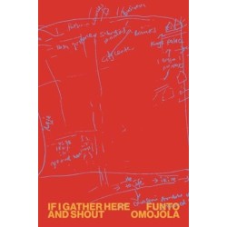 If I Gather Here and Shout