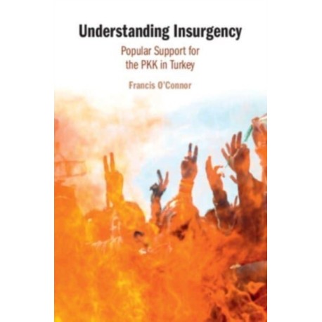 Understanding Insurgency: Popular Support for the PKK in Turkey