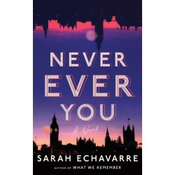 Never Ever You: A Novel