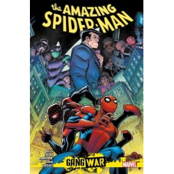 Amazing Spider-Man: Gang War