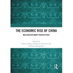 The Economic Rise of China: Multidisciplinary Perspectives