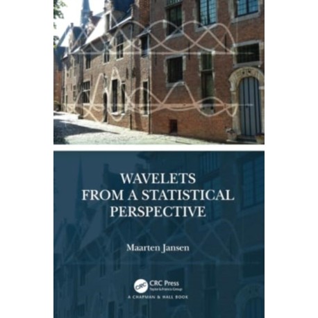 Wavelets from a Statistical Perspective