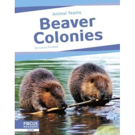 Beaver Colonies