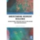 Understanding Insurgent Resilience: Organizational Structures and the Implications for Counterinsurgency