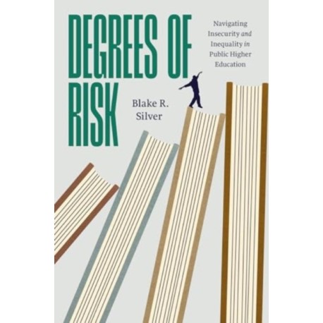 Degrees of Risk: Navigating Insecurity and Inequality in Public Higher Education
