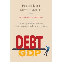 Public Debt Sustainability: International Perspectives